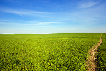 Image showing the rural road 