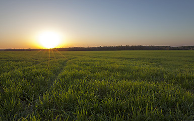 Image showing agriculture  