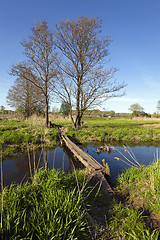 Image showing the wooden bridge  