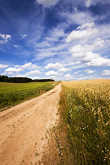 Image showing the rural road  