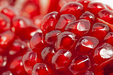 Image showing pomegranate  