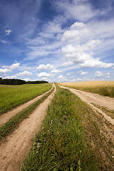 Image showing the rural road  