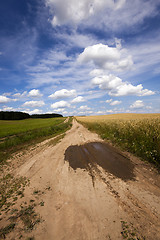 Image showing the rural road  