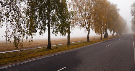 Image showing the autumn road  