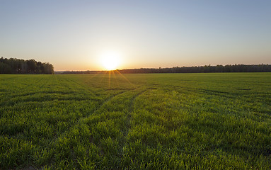 Image showing agriculture  