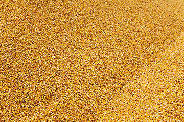 Image showing heap corn  