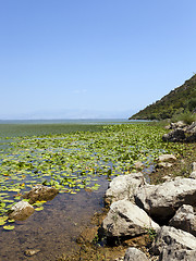 Image showing the lake 