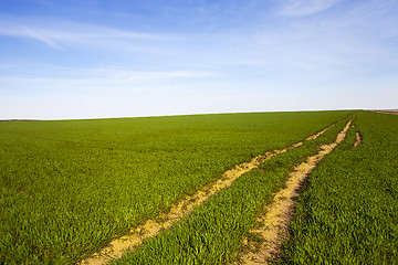 Image showing the rural road  