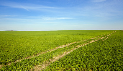 Image showing the rural road  