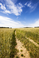 Image showing the road to a field 