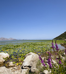 Image showing the lake (Montenegro)  