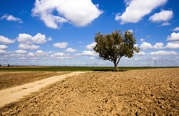 Image showing the rural road  