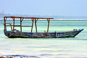 Image showing beach   in zanzibar seaweed tree
