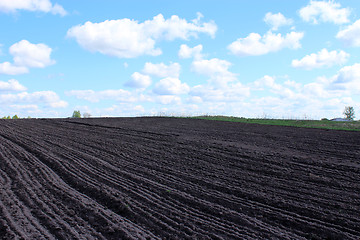 Image showing plowed land ready for planting potato in village