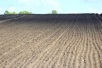 Image showing plowed land ready for planting potato in village