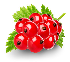 Image showing Red berries of currant