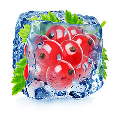 Image showing Red currant in ice