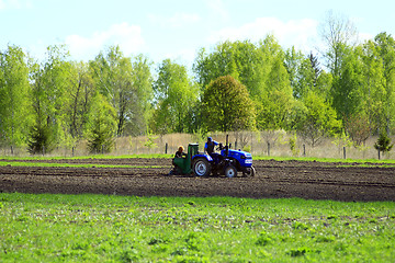 Image showing peasants plant potato by potato-planter tractor 