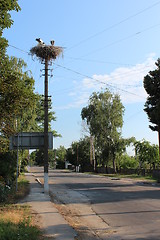 Image showing Nest of storks in village