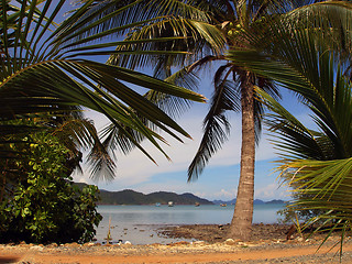 Image showing Koh Chang south coast