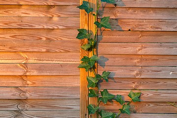 Image showing wooden fence closeup photo