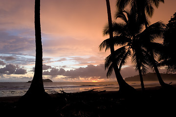 Image showing Tropical Sunset