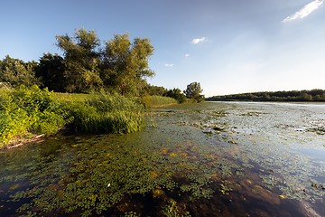 Image showing Peaceful place at the pond