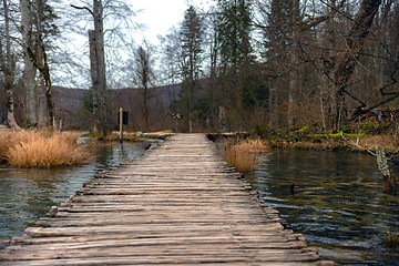 Image showing Wooden path trough the lakes