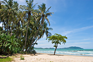 Image showing Tropical Beach