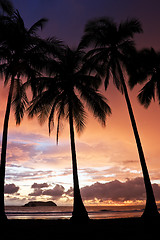 Image showing Tropical Sunset