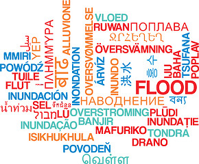 Image showing Flood multilanguage wordcloud background concept