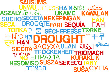 Image showing Drought multilanguage wordcloud background concept