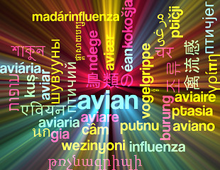 Image showing Avian multilanguage wordcloud background concept glowing