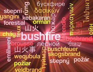 Image showing Bushfire multilanguage wordcloud background concept glowing