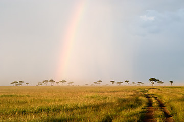 Image showing Rainbow in the Savannah