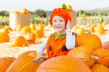 Image showing pumpkin patch