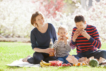 Image showing family picnic