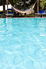 Image showing Hammock by the Pool