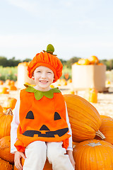 Image showing pumpkin patch