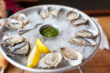 Image showing fresh oysters