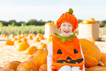 Image showing pumpkin patch