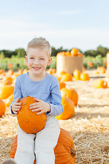 Image showing pumpkin patch