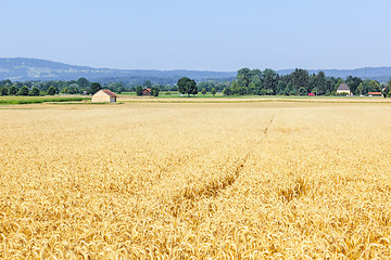 Image showing countryside