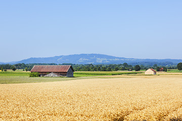 Image showing countryside