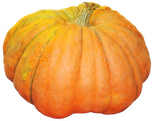 Image showing Pumpkin