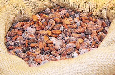 Image showing Cocoa ia a bag