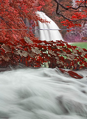 Image showing Waterfall