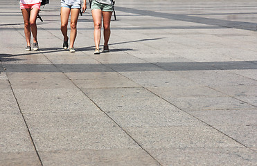 Image showing Walking