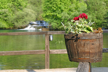 Image showing Flower and rivers