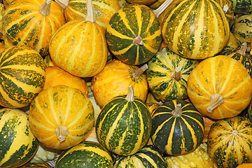 Image showing Pumpkins\r\n\r\n